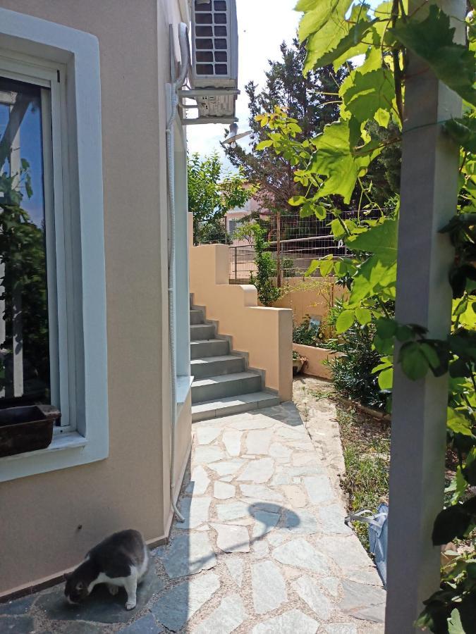 Filion Comfortable Country Apartment Levkákia المظهر الخارجي الصورة